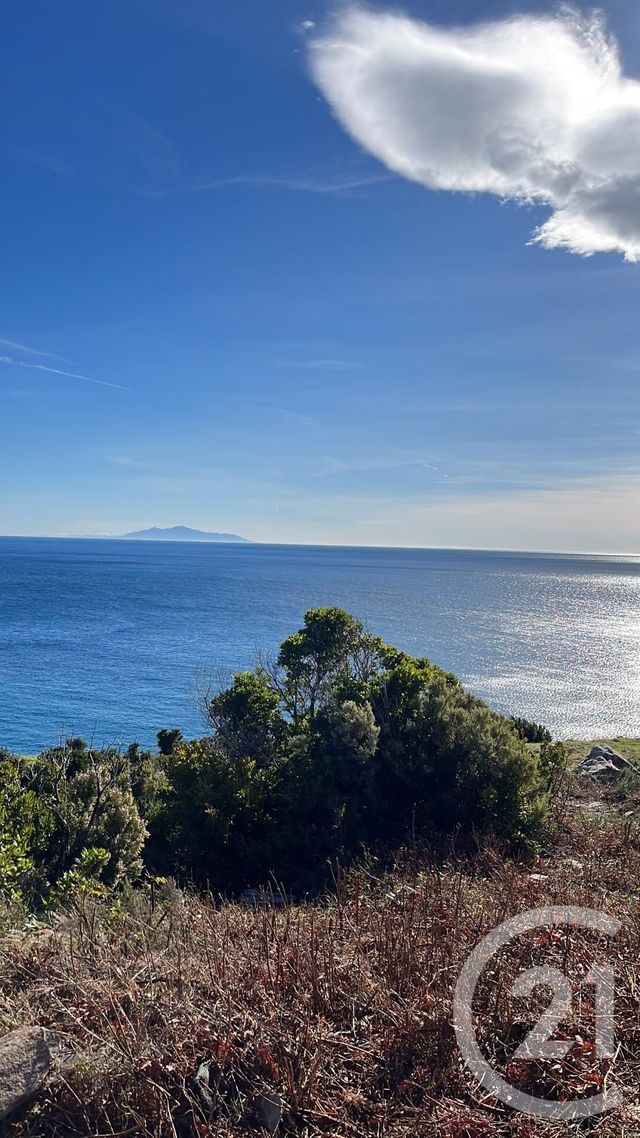terrain à vendre - 927.0 m2 - SISCO - 202 - CORSE - Century 21 Dary Immobilier