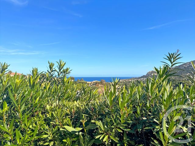 Afficher la photo en grand Appartement à vendre - 3 pièces - 73.34 m2 - LUMIO - 202 - CORSE - Century 21 Dary Immobilier