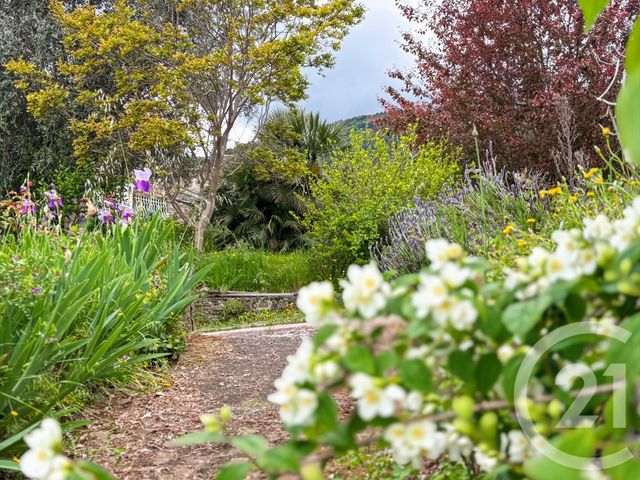 maison à vendre - 12 pièces - 475.0 m2 - CASANOVA - 202 - CORSE - Century 21 Dary Immobilier