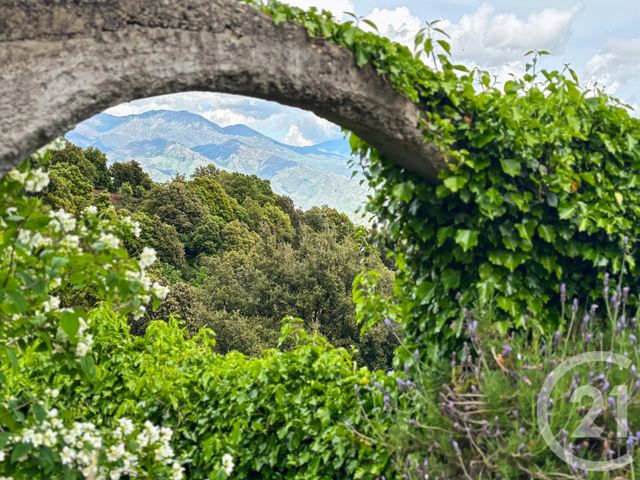 maison à vendre - 12 pièces - 475.0 m2 - CASANOVA - 202 - CORSE - Century 21 Dary Immobilier