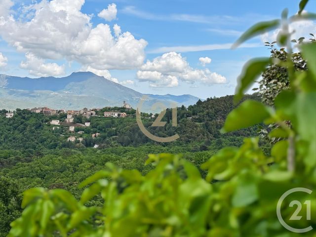 maison à vendre - 12 pièces - 475.0 m2 - CASANOVA - 202 - CORSE - Century 21 Dary Immobilier