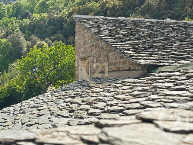 maison à vendre - 12 pièces - 475.0 m2 - CASANOVA - 202 - CORSE - Century 21 Dary Immobilier