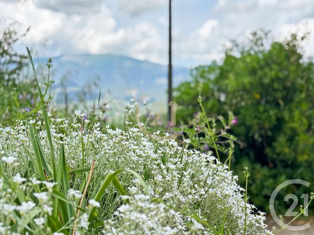 maison à vendre - 12 pièces - 475.0 m2 - CASANOVA - 202 - CORSE - Century 21 Dary Immobilier