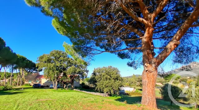 maison à vendre - 6 pièces - 150.0 m2 - MONTEGROSSO - 202 - CORSE - Century 21 Dary Immobilier