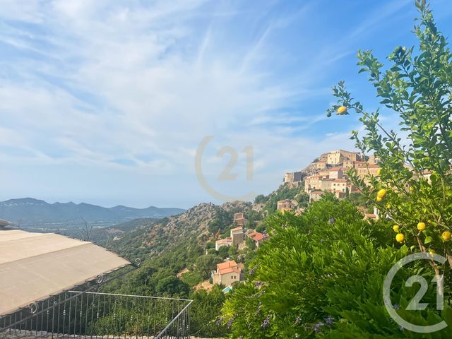 maison à vendre - 7 pièces - 242.11 m2 - SPELONCATO - 202 - CORSE - Century 21 Dary Immobilier