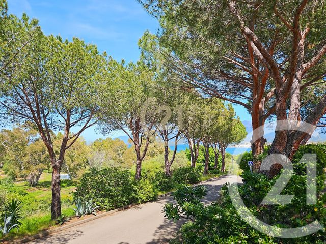 Appartement T2 à vendre - 2 pièces - 36.93 m2 - ST FLORENT - 202 - CORSE - Century 21 Dary Immobilier