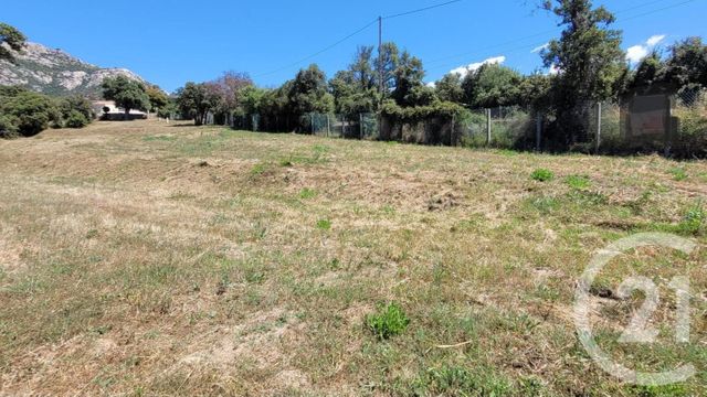 Afficher la photo en grand terrain à vendre - 1850.0 m2 - LUMIO - 202 - CORSE - Century 21 Dary Immobilier