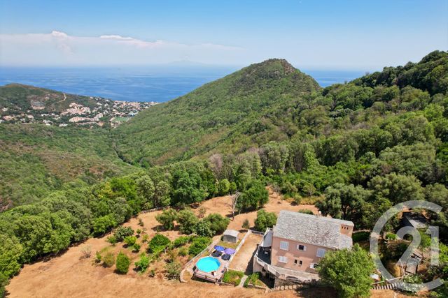 maison à vendre - 6 pièces - 169.0 m2 - SAN MARTINO DI LOTA - 202 - CORSE - Century 21 Dary Immobilier