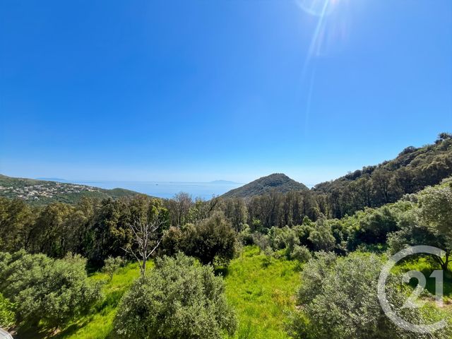 maison à vendre - 6 pièces - 169.0 m2 - SAN MARTINO DI LOTA - 202 - CORSE - Century 21 Dary Immobilier