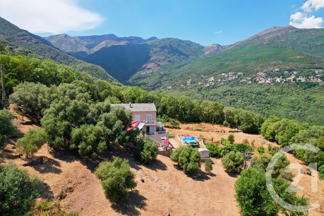 maison à vendre - 6 pièces - 169.0 m2 - SAN MARTINO DI LOTA - 202 - CORSE - Century 21 Dary Immobilier