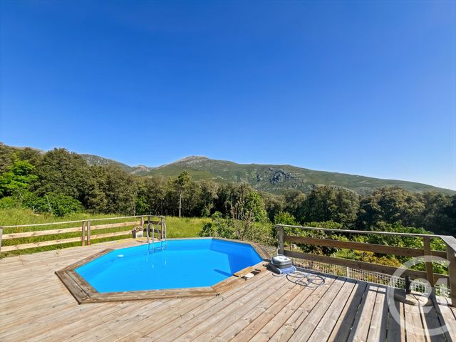 maison à vendre - 6 pièces - 169.0 m2 - SAN MARTINO DI LOTA - 202 - CORSE - Century 21 Dary Immobilier