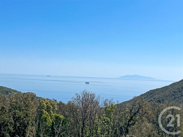 maison à vendre - 6 pièces - 169.0 m2 - SAN MARTINO DI LOTA - 202 - CORSE - Century 21 Dary Immobilier