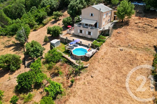 maison à vendre - 6 pièces - 169.0 m2 - SAN MARTINO DI LOTA - 202 - CORSE - Century 21 Dary Immobilier