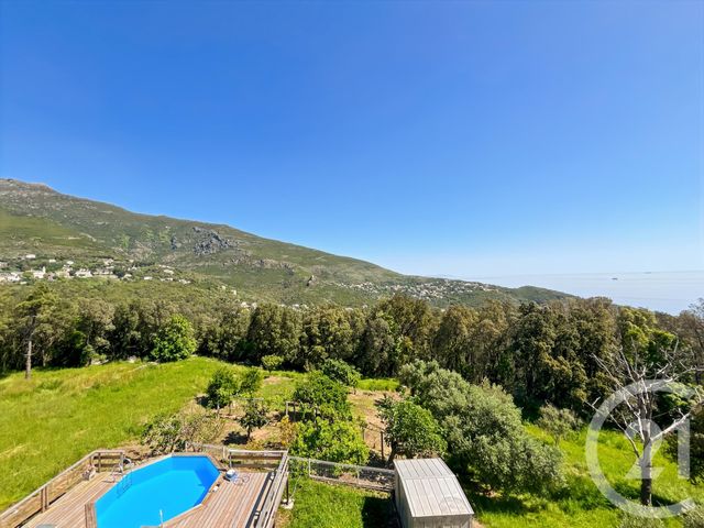 maison à vendre - 6 pièces - 169.0 m2 - SAN MARTINO DI LOTA - 202 - CORSE - Century 21 Dary Immobilier
