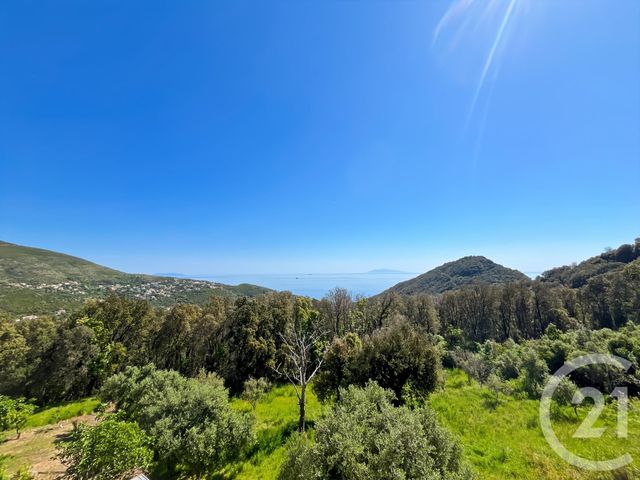maison à vendre - 6 pièces - 169.0 m2 - SAN MARTINO DI LOTA - 202 - CORSE - Century 21 Dary Immobilier