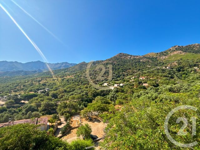 maison à vendre - 3 pièces - 75.0 m2 - AVAPESSA - 202 - CORSE - Century 21 Dary Immobilier