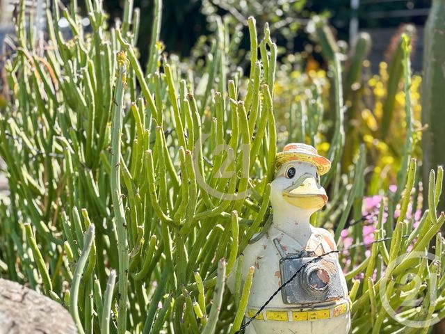 Afficher la photo en grand divers à vendre - 90.0 m2 - LUMIO - 202 - CORSE - Century 21 Dary Immobilier