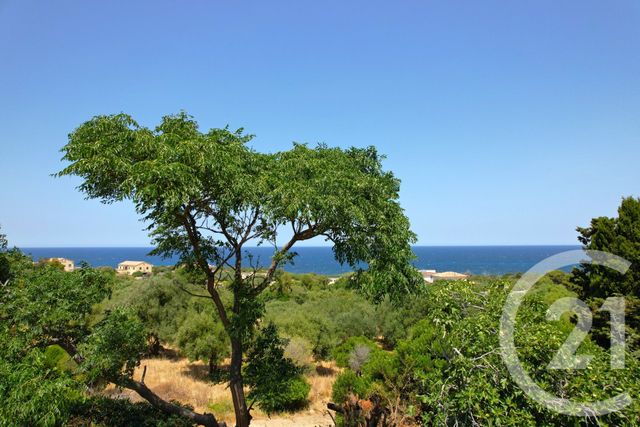 maison à vendre - 5 pièces - 148.0 m2 - CORBARA - 202 - CORSE - Century 21 Dary Immobilier