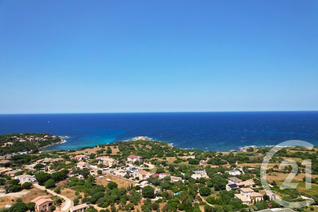 maison à vendre - 5 pièces - 148.0 m2 - CORBARA - 202 - CORSE - Century 21 Dary Immobilier