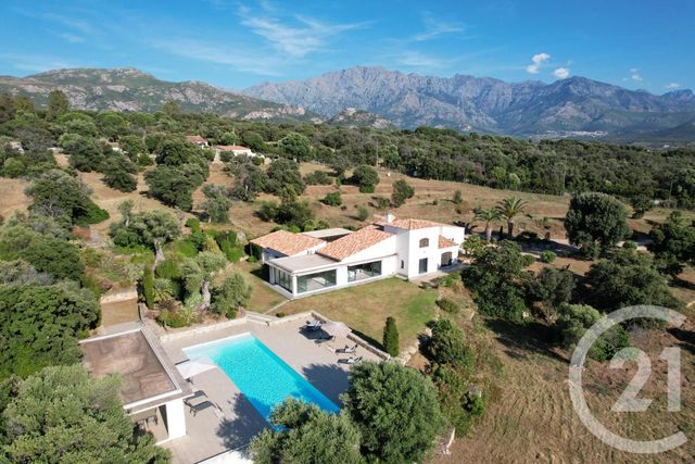 maison à vendre - 7 pièces - 378.0 m2 - LUMIO - 202 - CORSE - Century 21 Dary Immobilier