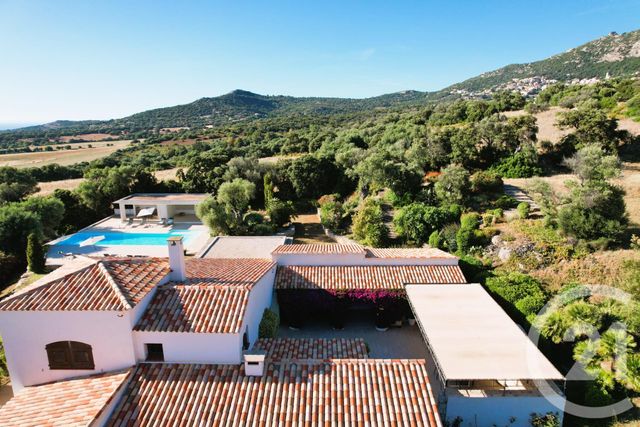 maison à vendre - 7 pièces - 378.0 m2 - LUMIO - 202 - CORSE - Century 21 Dary Immobilier