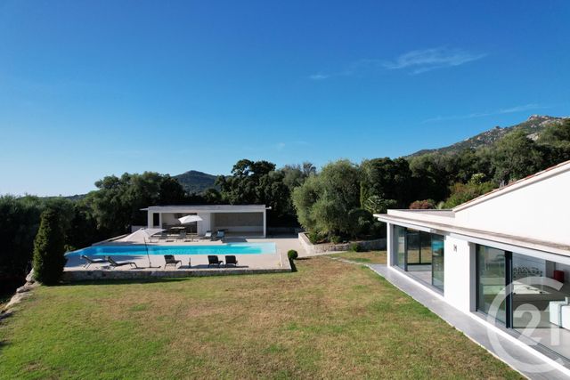 maison à vendre - 7 pièces - 378.0 m2 - LUMIO - 202 - CORSE - Century 21 Dary Immobilier