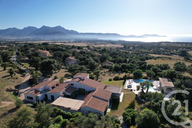 maison à vendre - 7 pièces - 378.0 m2 - LUMIO - 202 - CORSE - Century 21 Dary Immobilier