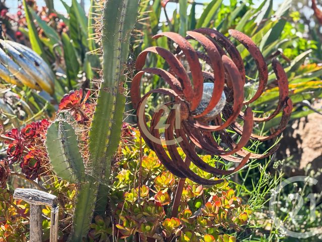 commerce à vendre - 90.0 m2 - LUMIO - 202 - CORSE - Century 21 Dary Immobilier