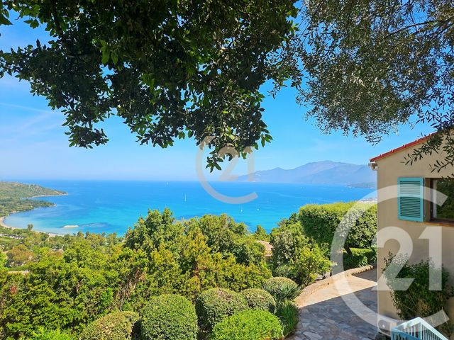 maison à vendre - 6 pièces - 160.0 m2 - ST FLORENT - 202 - CORSE - Century 21 Dary Immobilier