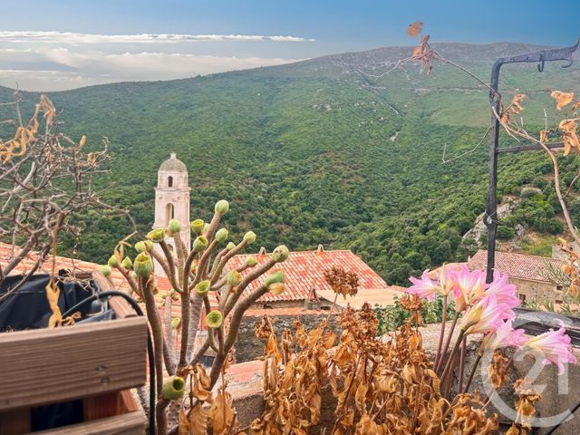 Afficher la photo en grand maison à vendre - 3 pièces - 88.0 m2 - PALASCA - 202 - CORSE - Century 21 Dary Immobilier