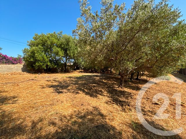 maison à vendre - 6 pièces - 267.21 m2 - MONTICELLO - 202 - CORSE - Century 21 Dary Immobilier