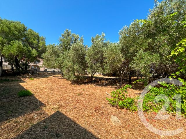 maison à vendre - 6 pièces - 267.21 m2 - MONTICELLO - 202 - CORSE - Century 21 Dary Immobilier