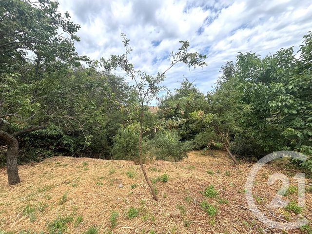 terrain à vendre - 1109.0 m2 - NESSA - 202 - CORSE - Century 21 Dary Immobilier