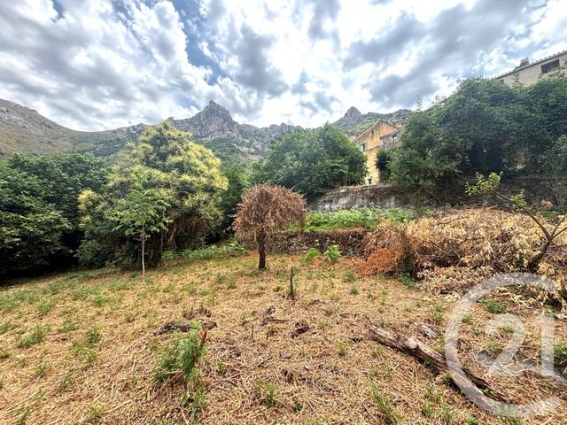 terrain à vendre - 1109.0 m2 - NESSA - 202 - CORSE - Century 21 Dary Immobilier