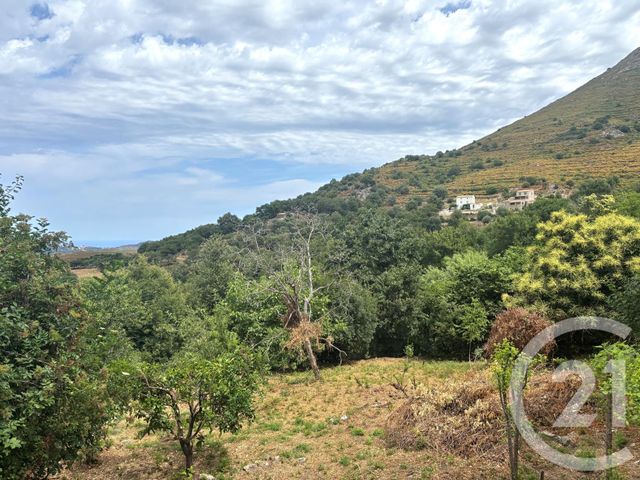 terrain à vendre - 1109.0 m2 - NESSA - 202 - CORSE - Century 21 Dary Immobilier