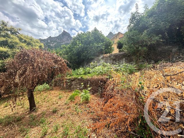 terrain à vendre - 1109.0 m2 - NESSA - 202 - CORSE - Century 21 Dary Immobilier