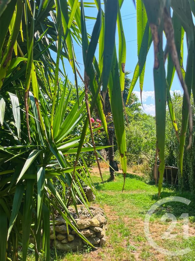 maison à vendre - 9 pièces - 240.0 m2 - OCCHIATANA - 202 - CORSE - Century 21 Dary Immobilier