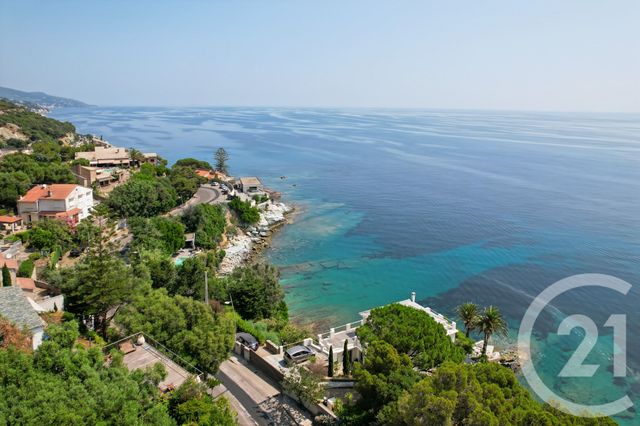 maison à vendre - 8 pièces - 248.3 m2 - SAN MARTINO DI LOTA - 202 - CORSE - Century 21 Dary Immobilier