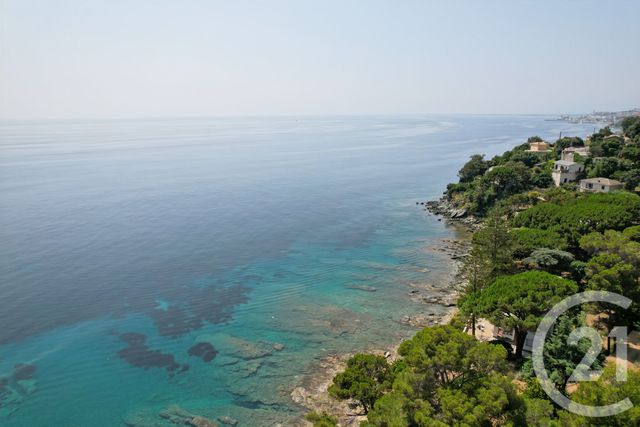 maison à vendre - 8 pièces - 248.3 m2 - SAN MARTINO DI LOTA - 202 - CORSE - Century 21 Dary Immobilier