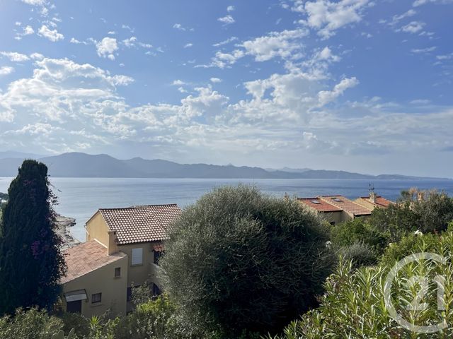 Afficher la photo en grand Appartement F1 à vendre - 1 pièce - 30.95 m2 - PATRIMONIO - 202 - CORSE - Century 21 Dary Immobilier