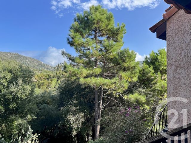Afficher la photo en grand Appartement F1 à vendre - 1 pièce - 30.95 m2 - PATRIMONIO - 202 - CORSE - Century 21 Dary Immobilier