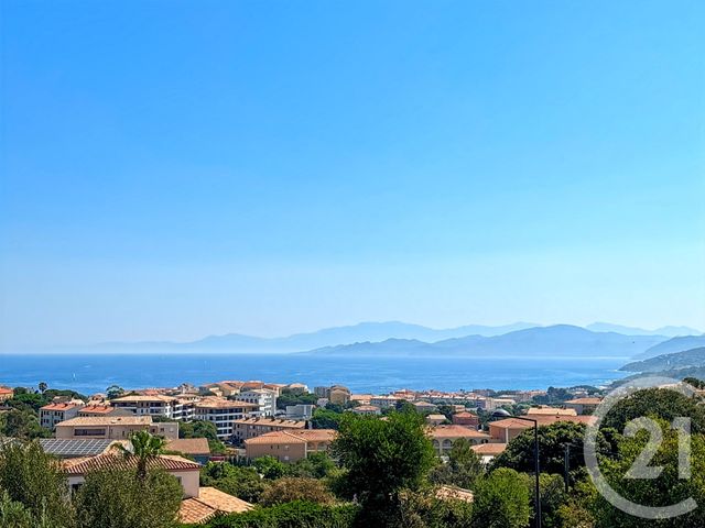 appartement - L ILE ROUSSE - 202