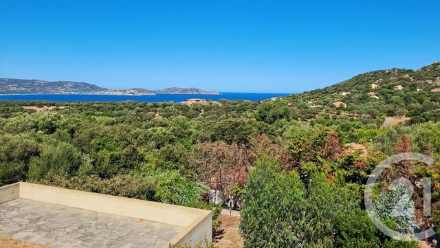 Appartement T5 à vendre - 6 pièces - 136.86 m2 - LUMIO - 202 - CORSE - Century 21 Dary Immobilier