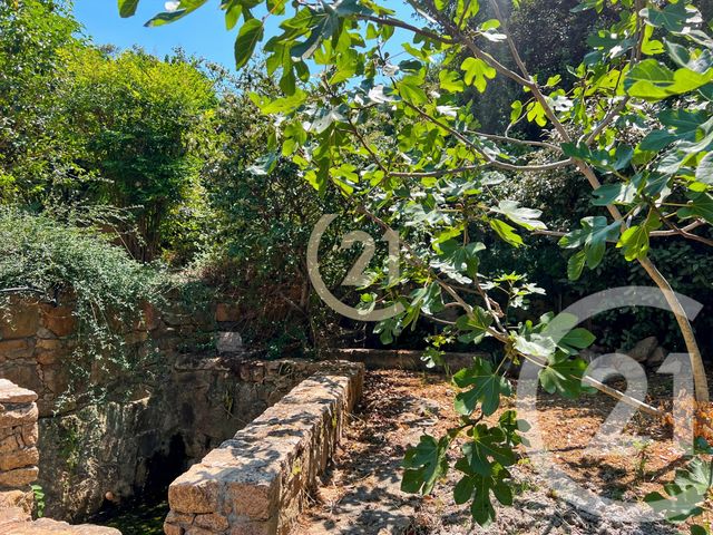 maison à vendre - 5 pièces - 142.84 m2 - CALVI - 202 - CORSE - Century 21 Dary Immobilier