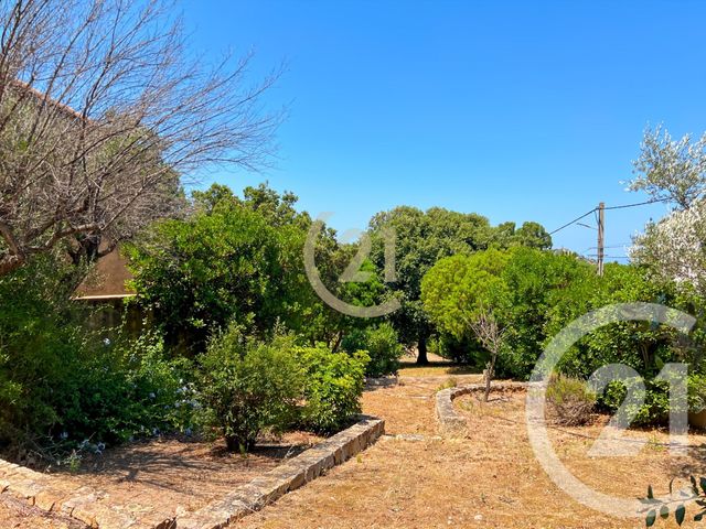 maison à vendre - 5 pièces - 142.84 m2 - CALVI - 202 - CORSE - Century 21 Dary Immobilier