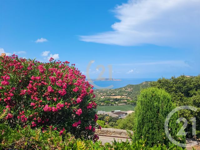 maison à vendre - 5 pièces - 145.0 m2 - LUMIO - 202 - CORSE - Century 21 Dary Immobilier