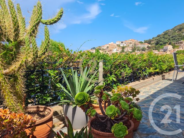 maison à vendre - 5 pièces - 145.0 m2 - LUMIO - 202 - CORSE - Century 21 Dary Immobilier