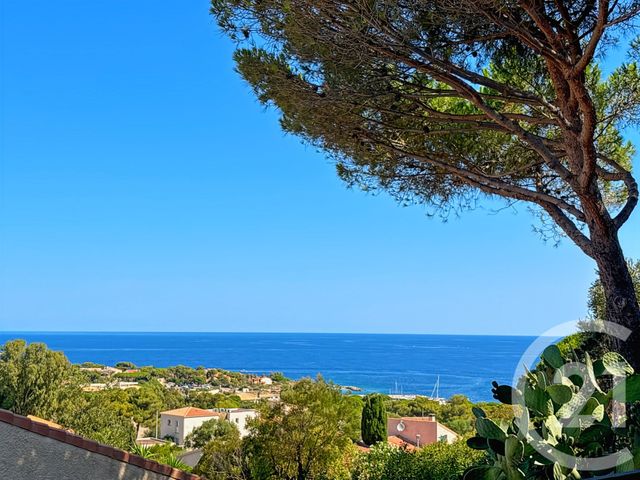 Appartement F2 bis à vendre - 3 pièces - 38.0 m2 - LUMIO - 202 - CORSE - Century 21 Dary Immobilier