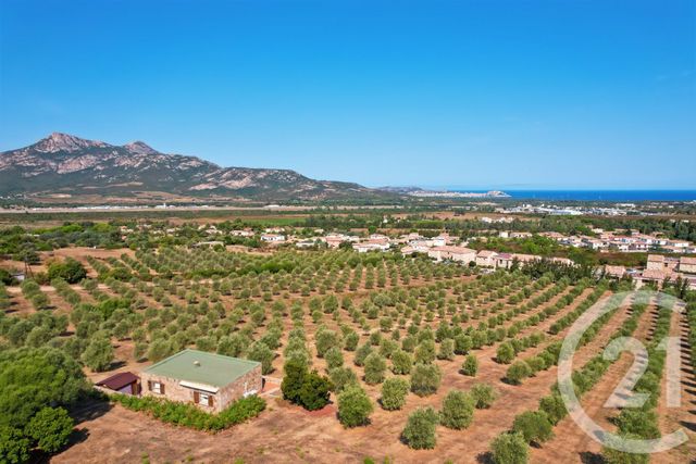 maison à vendre - 6 pièces - 210.39 m2 - CALENZANA - 202 - CORSE - Century 21 Dary Immobilier