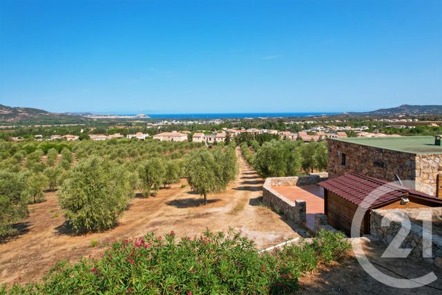 maison à vendre - 6 pièces - 210.39 m2 - CALENZANA - 202 - CORSE - Century 21 Dary Immobilier